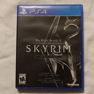 *PS4**Skyrim* Game